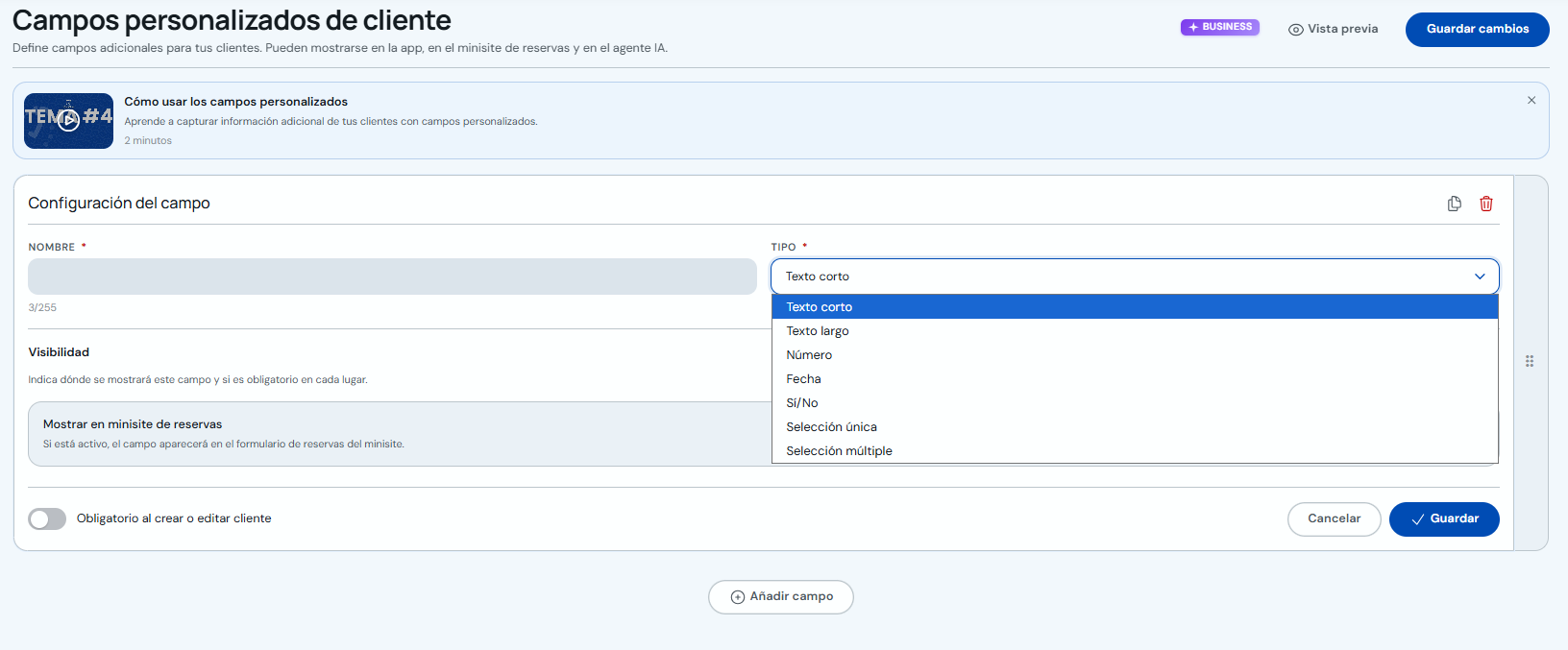 Tipos de campo disponibles para clientes