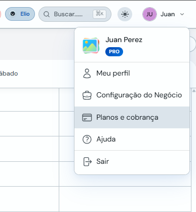 Menu do usuário com a opção Planos e faturamento
