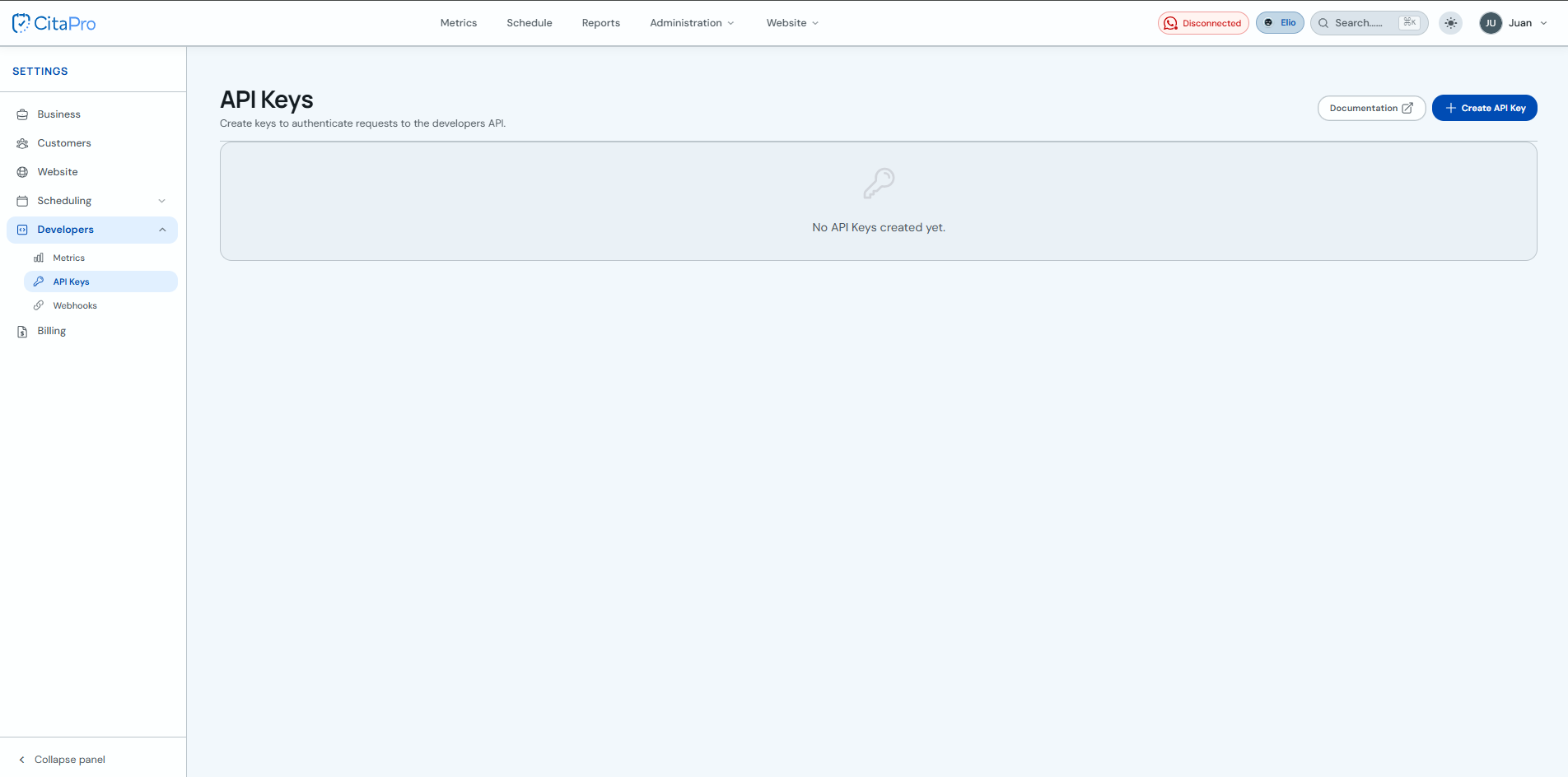API Keys section in Settings