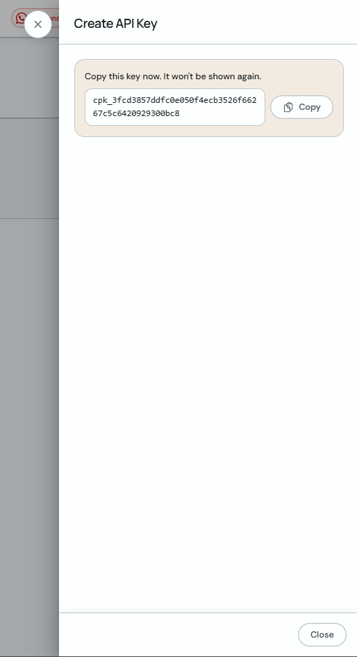 Generated API key with Copy button