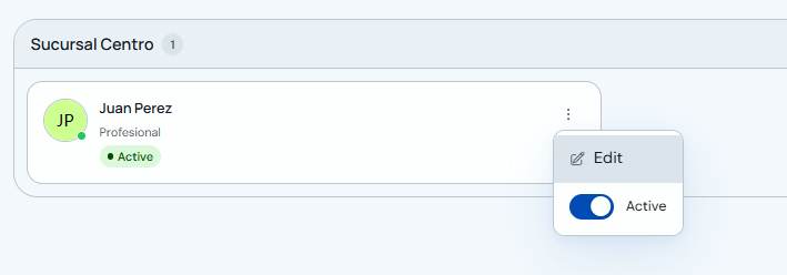 Professional menu with the Edit option
