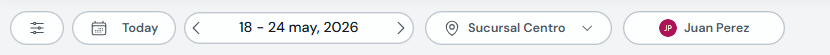 Toolbar with filters, Today, dates, location and professional