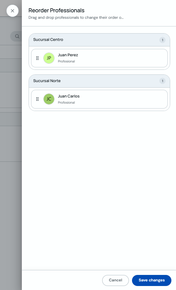 Reorganize professionals modal with lists by branch