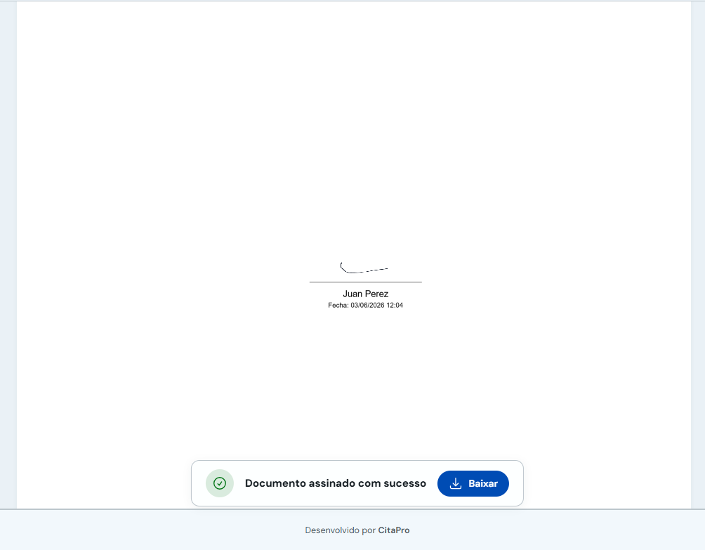 Confirmação de documento assinado com opção Baixar